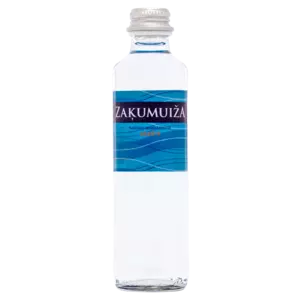 Carbonated natural mineral water, 0.25 L, glass bottle (min. 24 pcs.)